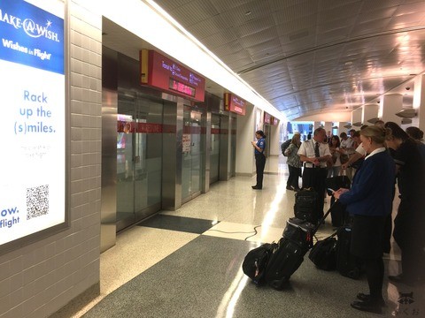 lastrain